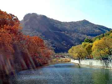 管家婆黑白马报图库，三菱翼神论坛